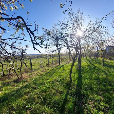 Potecarii Villa Novaci-Străini Dış mekan fotoğraf