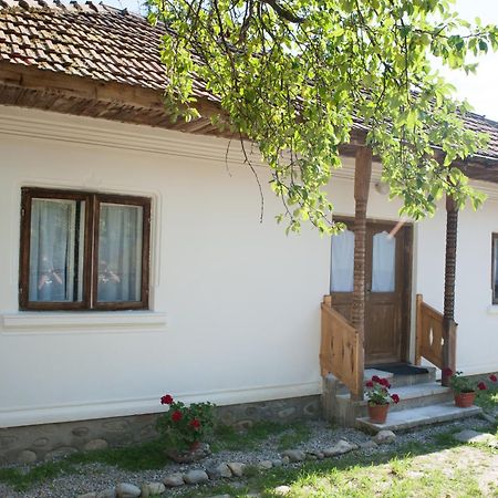 Potecarii Villa Novaci-Străini Dış mekan fotoğraf