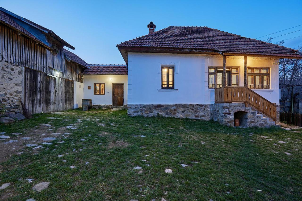 Potecarii Villa Novaci-Străini Dış mekan fotoğraf