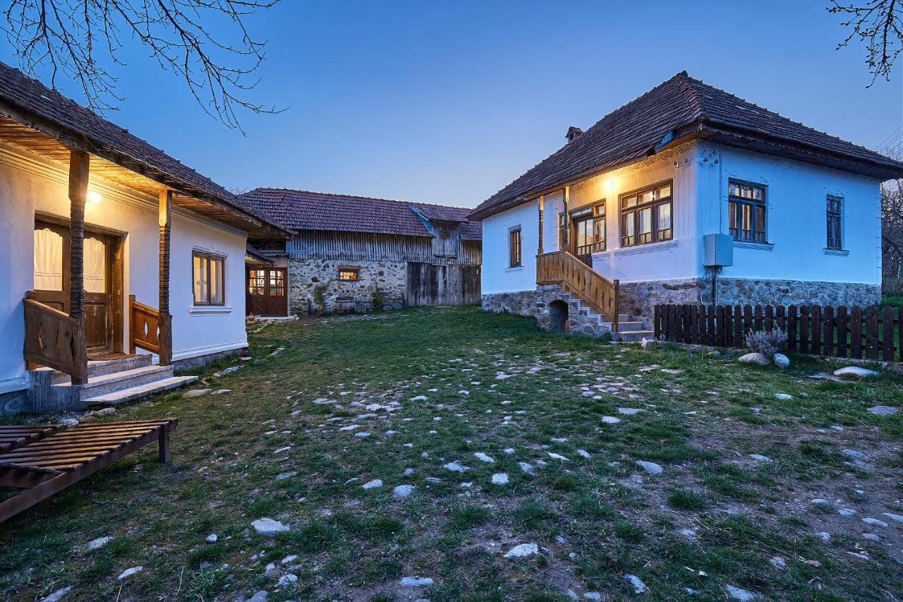 Potecarii Villa Novaci-Străini Dış mekan fotoğraf