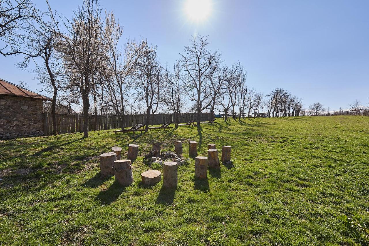 Potecarii Villa Novaci-Străini Dış mekan fotoğraf