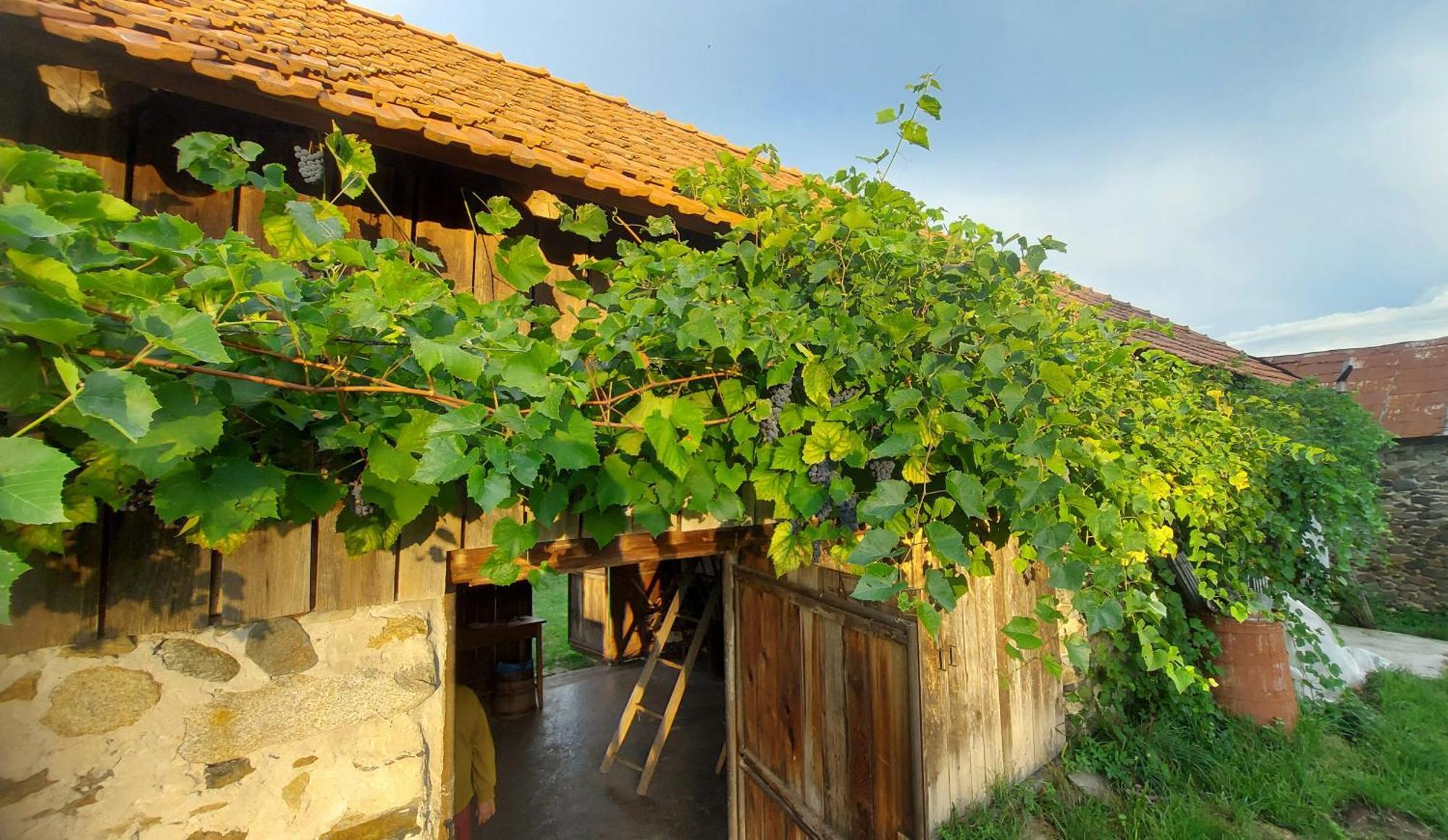 Potecarii Villa Novaci-Străini Dış mekan fotoğraf