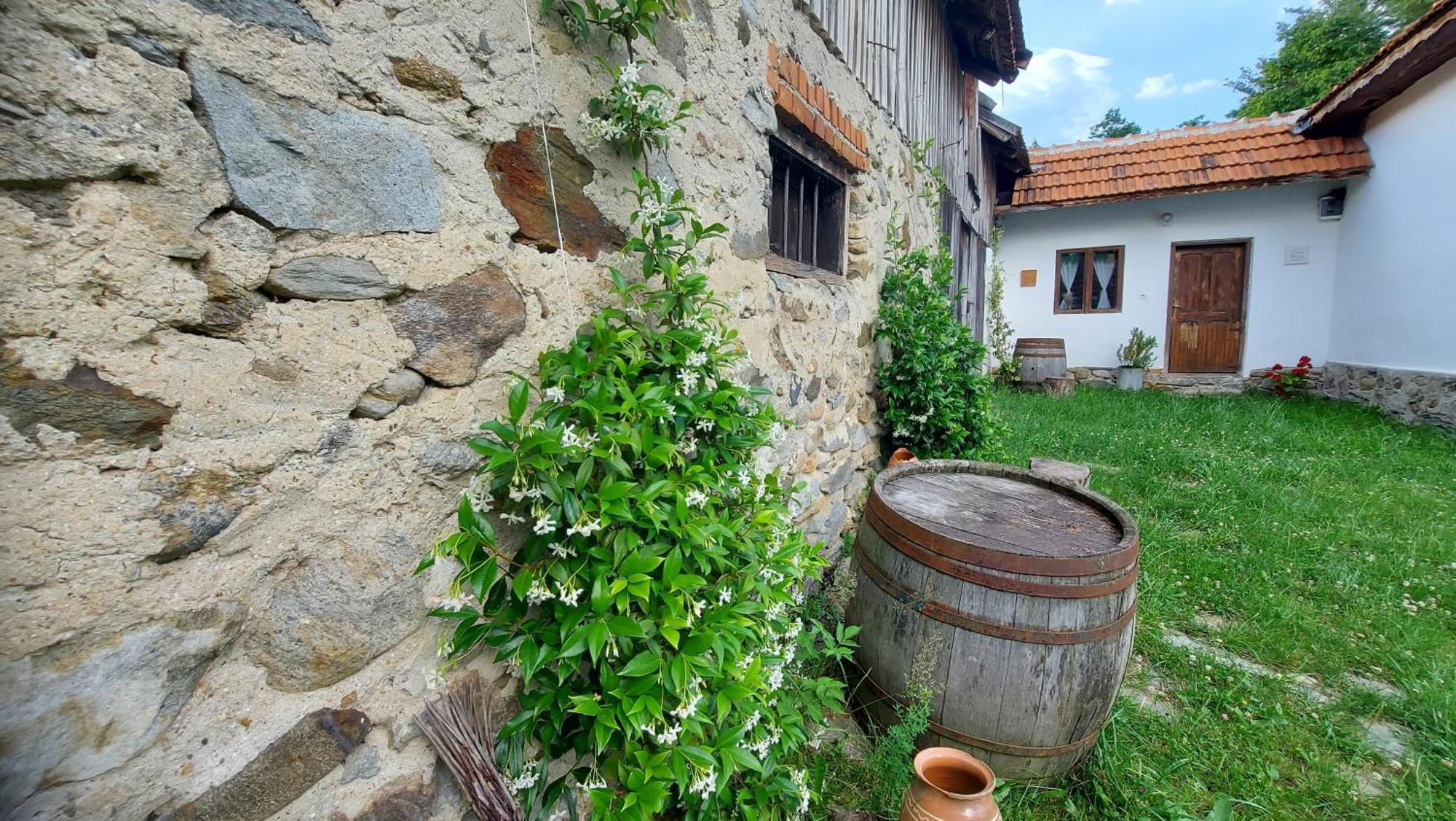 Potecarii Villa Novaci-Străini Dış mekan fotoğraf