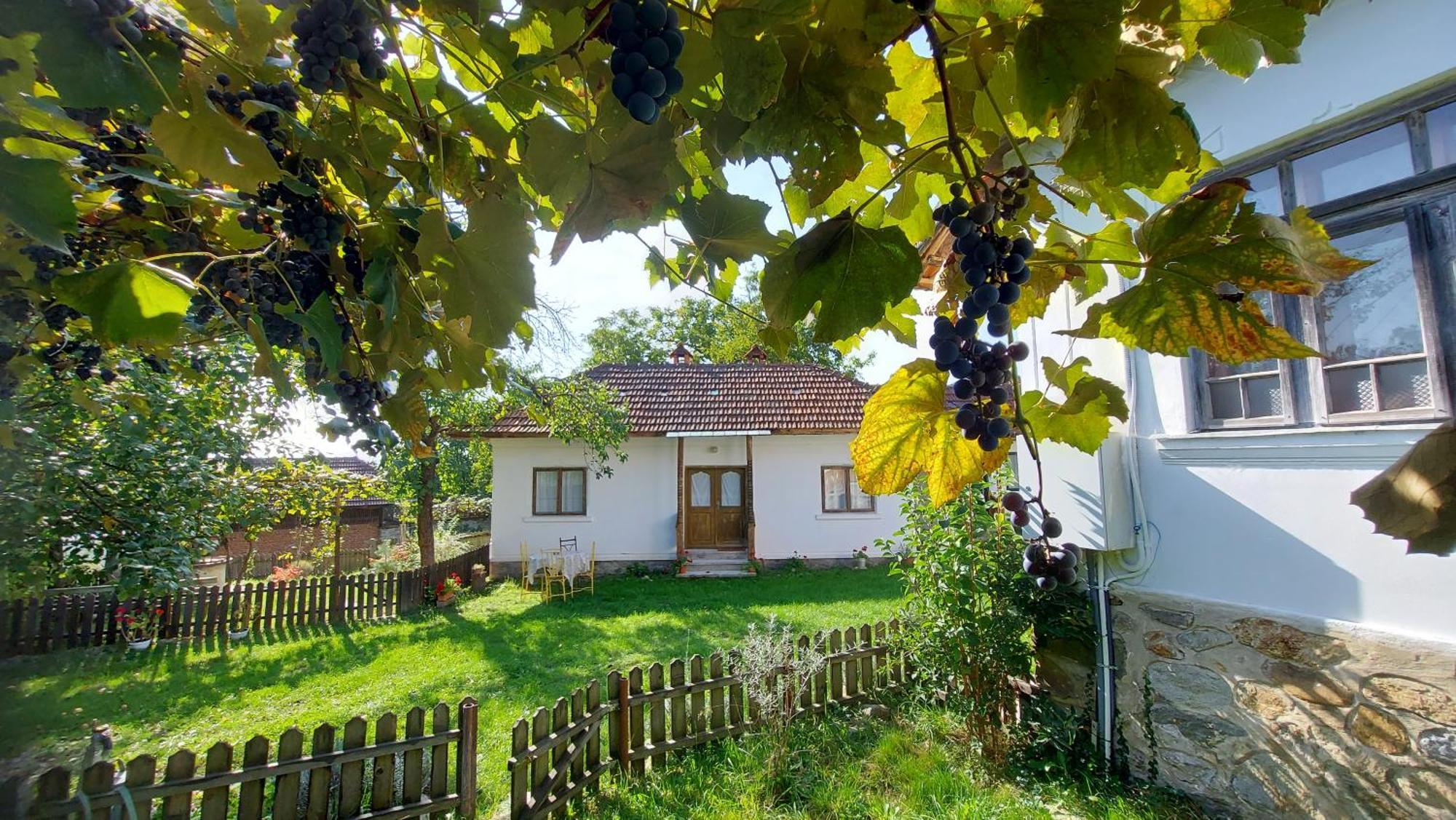 Potecarii Villa Novaci-Străini Dış mekan fotoğraf