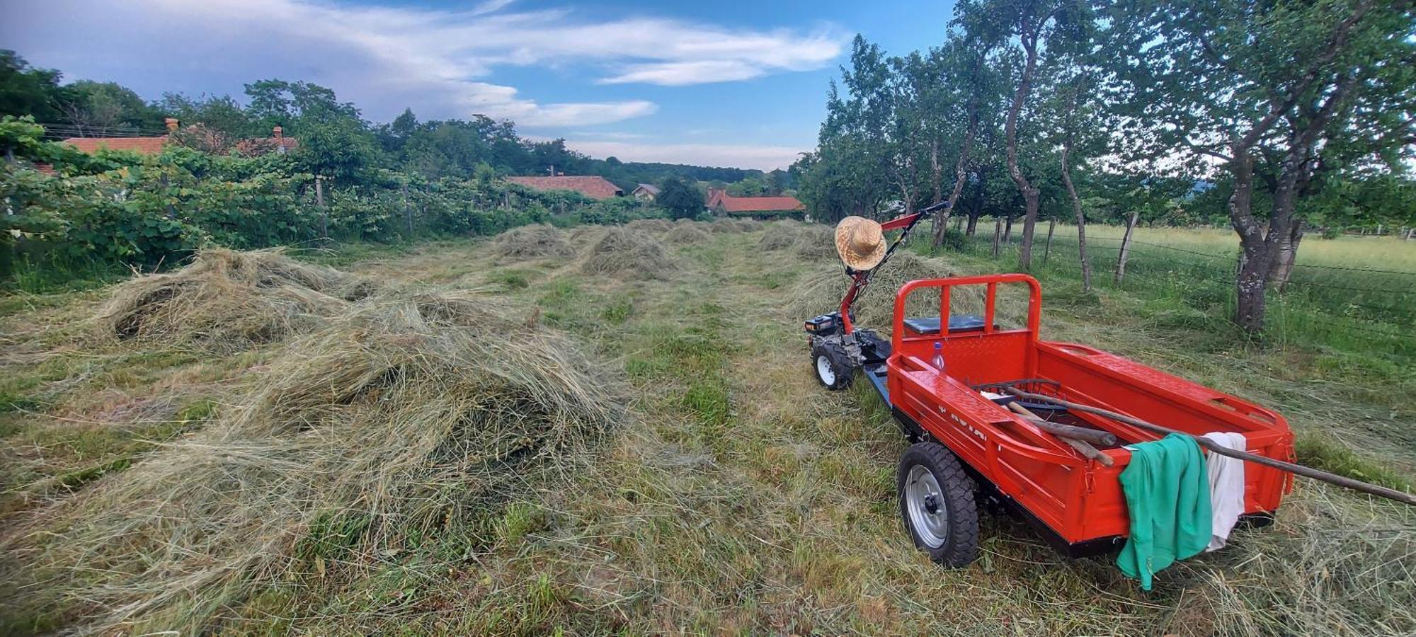 Potecarii Villa Novaci-Străini Dış mekan fotoğraf