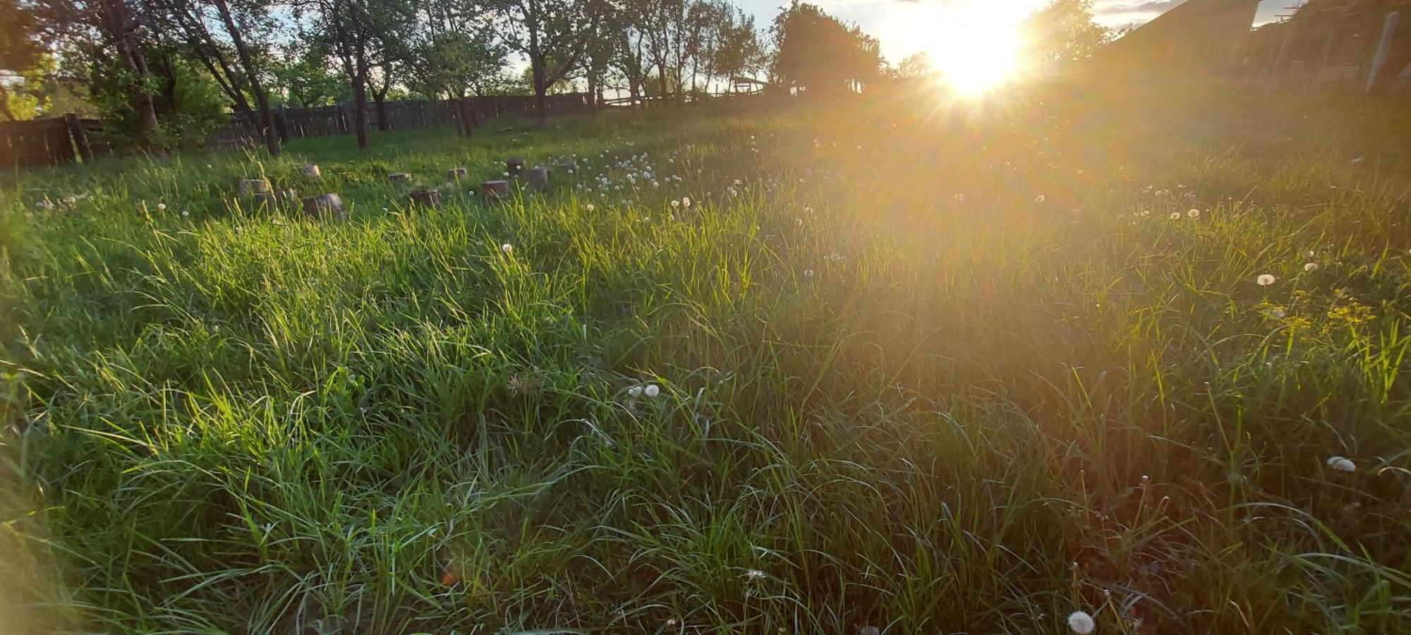 Potecarii Villa Novaci-Străini Dış mekan fotoğraf