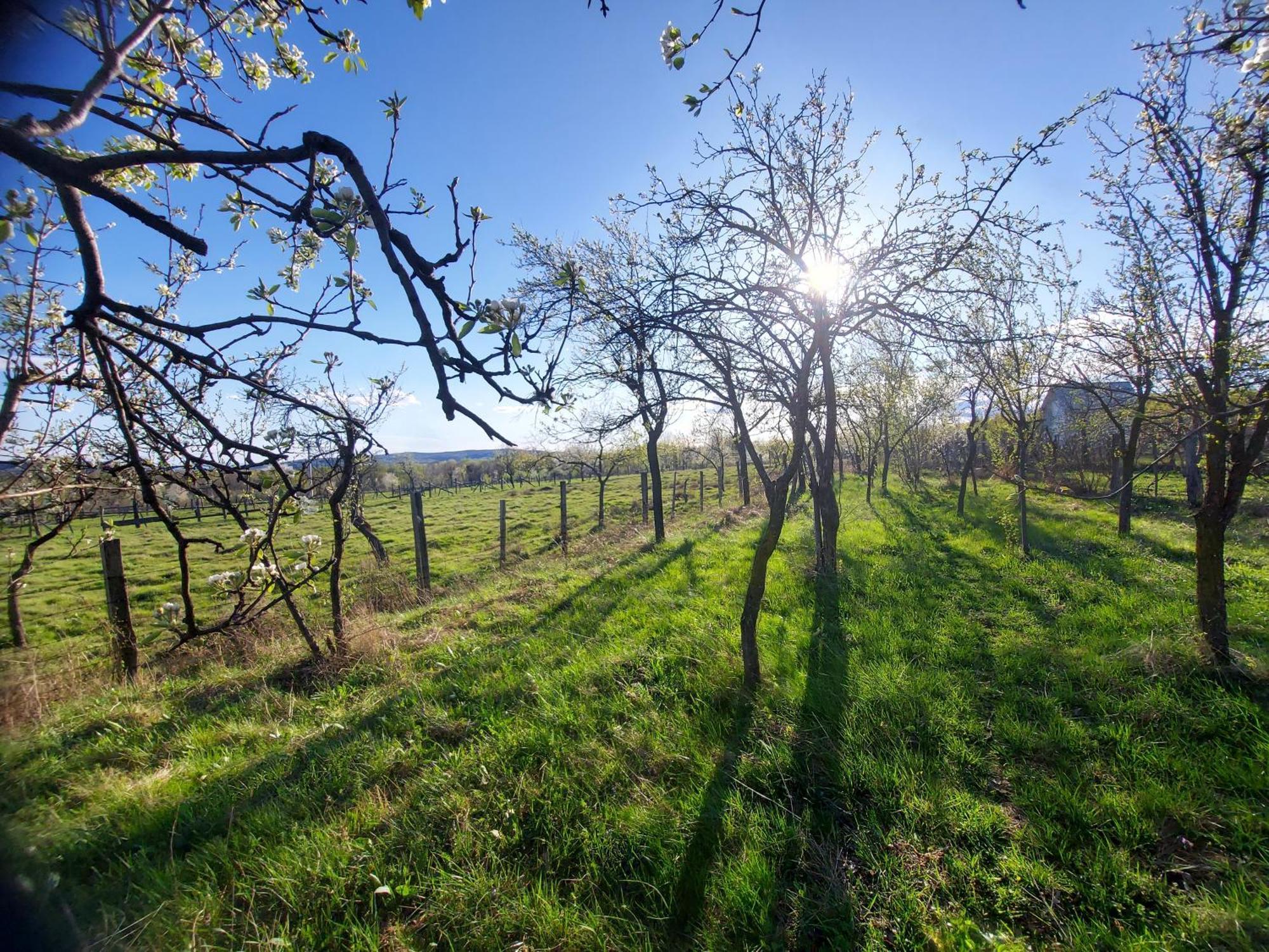 Potecarii Villa Novaci-Străini Dış mekan fotoğraf